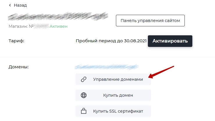 Как привязать домен к пробному магазину - 1426
