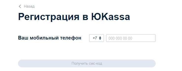 Подключение метода оплаты ЮKassa - 4125