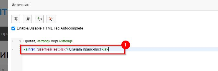 Мы получили ссылку на файл. Копируем её, возвращаемся к HTML-редактору статической страницы и прописываем ссылку (в режиме "Исходник") в тегах <a href=” ”>...</a>