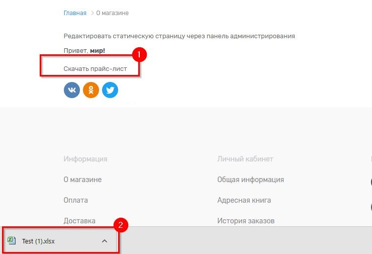 Ссылка на скачивание размещена на странице, и нажатием на неё мы можем скачать загруженный на сервер файл.