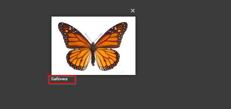 Чтобы добавить описание фотографии, нужно добавить атрибут title="Описание фотографии 1"