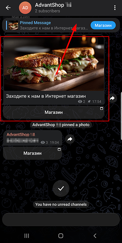 Статические страницы мобильного приложения - 5129