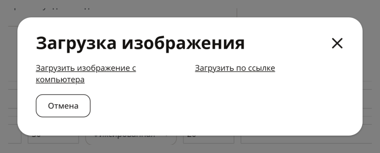 Описание и дополнительные опции товаров - 2398