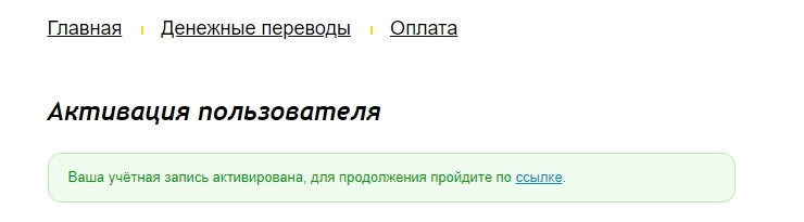 Подключение метода оплаты PayAnyWay (Moneta.ru) для юр.лиц и ИП - 1814