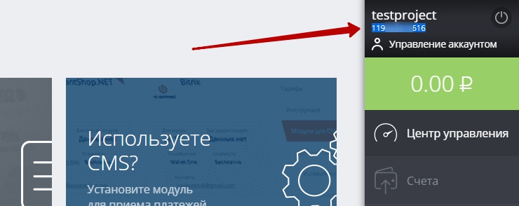 Идентификатор интернет-магазина