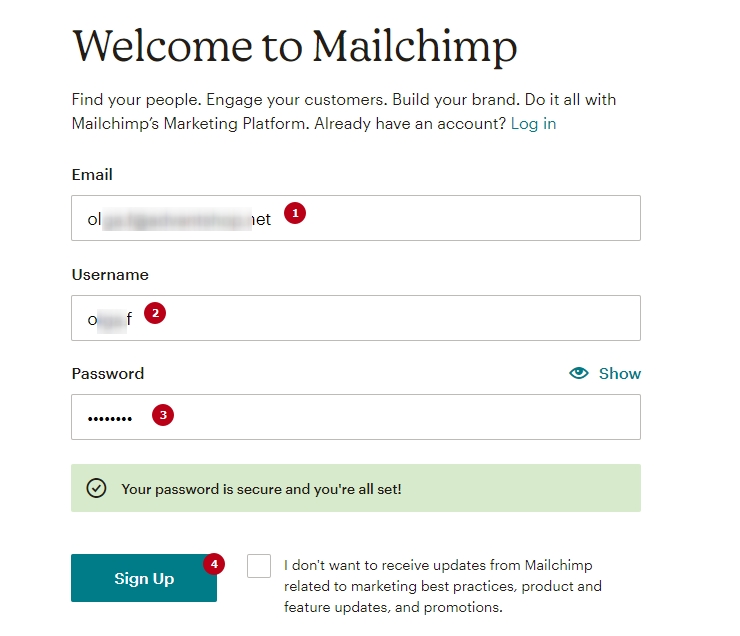 Настройка сервиса рассылок MailChimp - 3161