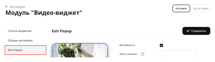 Настройка модуля "Promo Popup" - 3506
