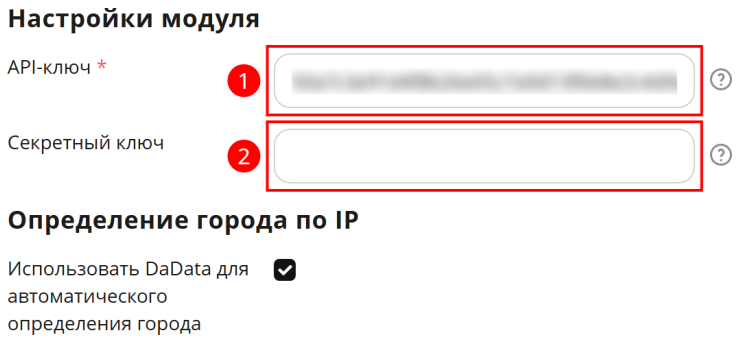Настройка модуля "DaData" - 8832