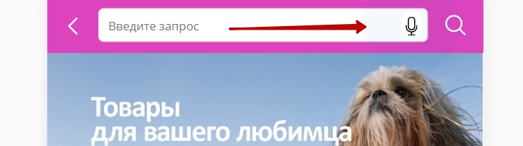 Модуль "Голосовой поиск" (для Google Chrome) - 3374