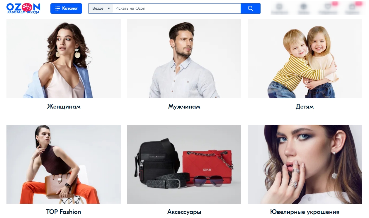Сегмент одежды на Ozon