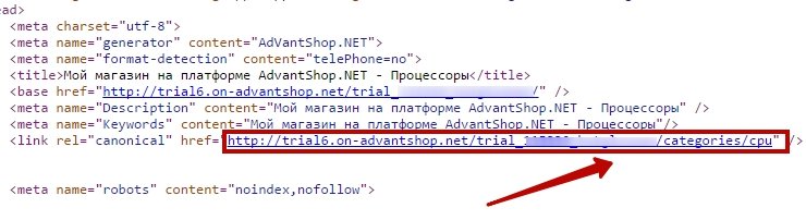 в rel="canonical" прописан url на страницу категории без фильтра