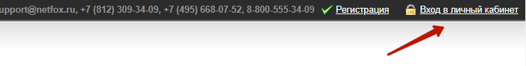Как прописать NS записи на netfox.ru - 3943